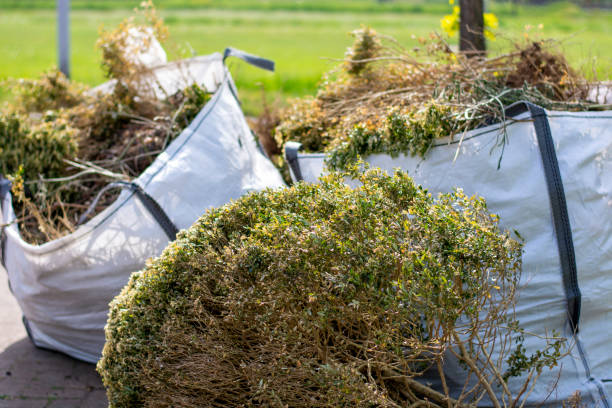 Best Junk Hauling Services  in Mckees Rocks, PA